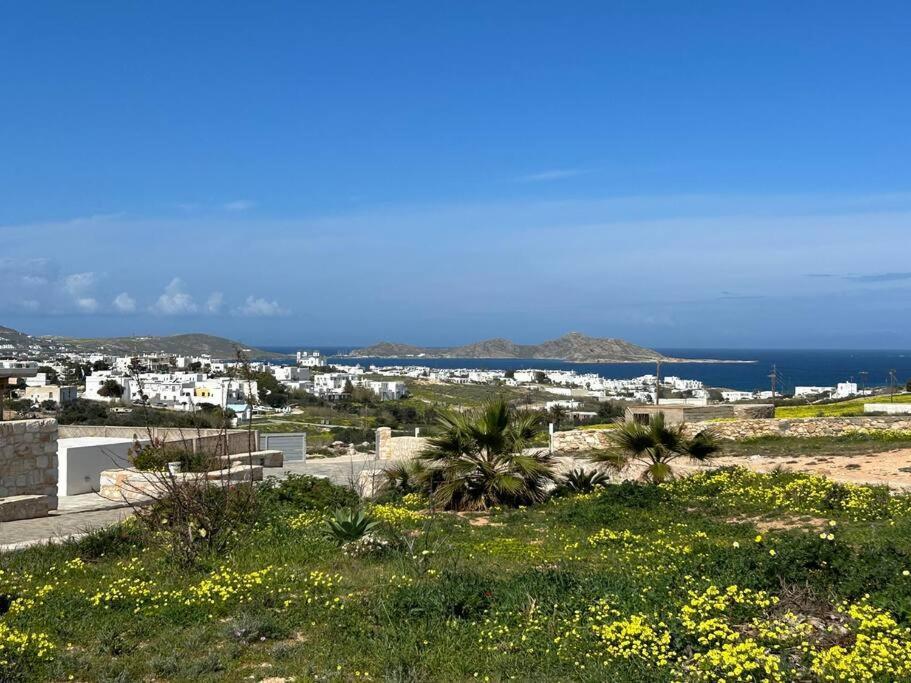 Aretousa Residence In Naoussa, Paros Exterior foto